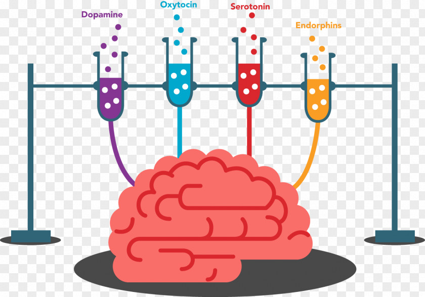 Cocktail Cognitive Training Brain Physical Exercise Memory Human Body PNG