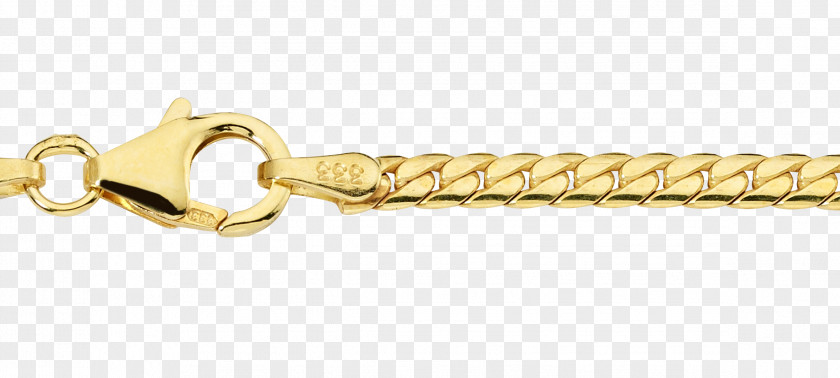 Jewellery Bracelet Chain Necklace PNG