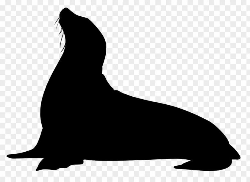 M Sea Lion Dog Mammal Black & White PNG