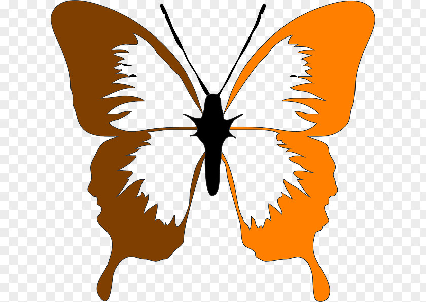 Butterfly Clip Art Image Vector Graphics Drawing PNG