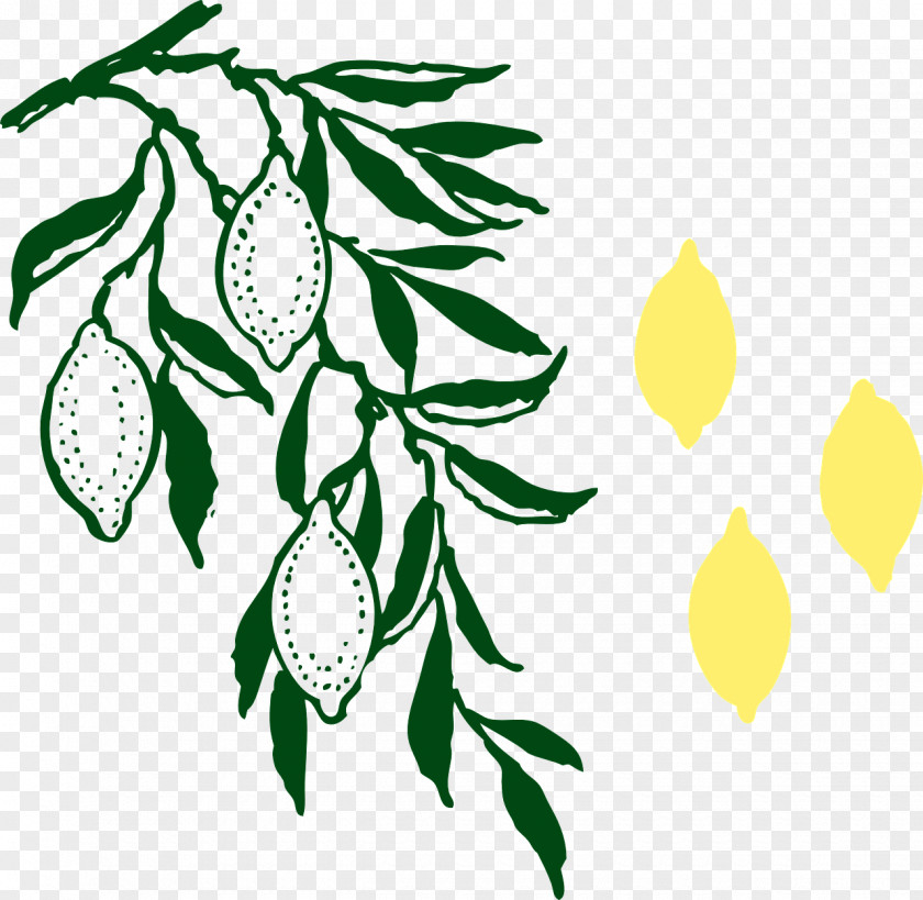 Hand-painted Lemon Branch Clip Art PNG