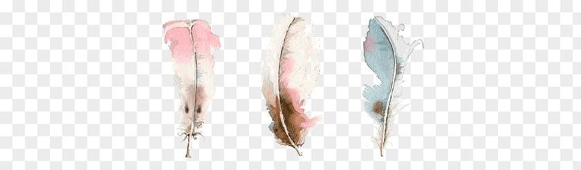 Painting Watercolor Drawing Art Feather PNG