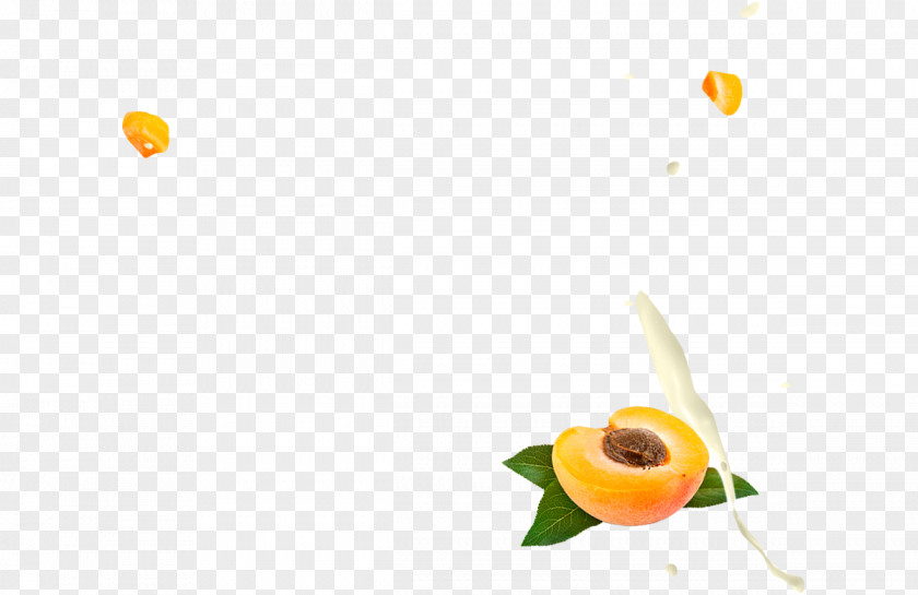 Apricot Food Yoghurt Fruit Snack PNG