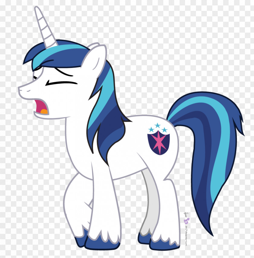My Little Pony Twilight Sparkle Flash Sentry Rainbow Dash Shining Armor PNG