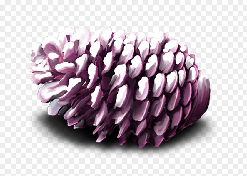 Christmas Decoration With Purple Cones Conifer Cone Pine Nut PNG