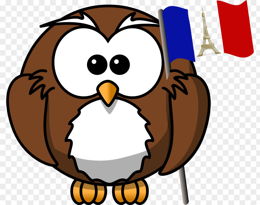 French Clipart Owl Cartoon Animation Clip Art PNG