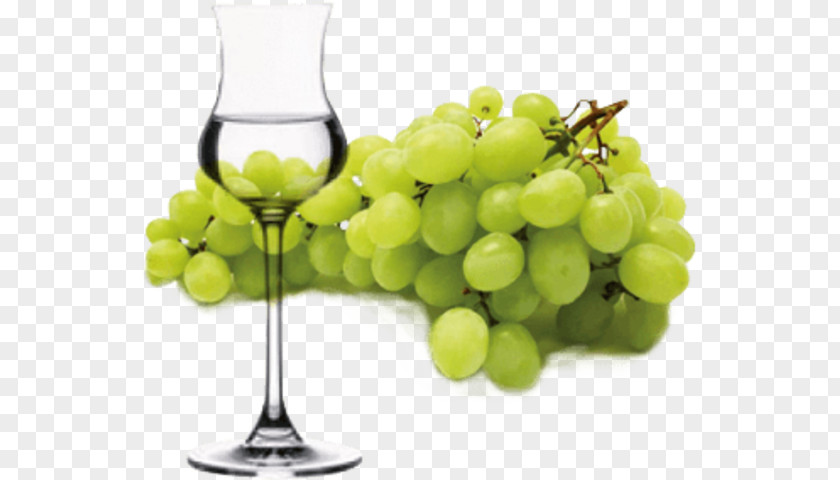 Grape Pisco Sour Wine Glass PNG