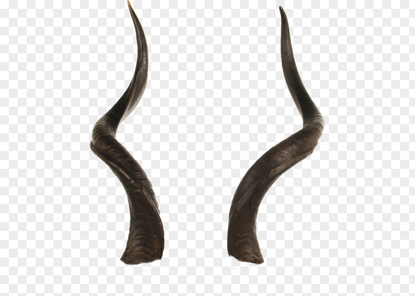 Reindeer Sign Of The Horns Antler PNG