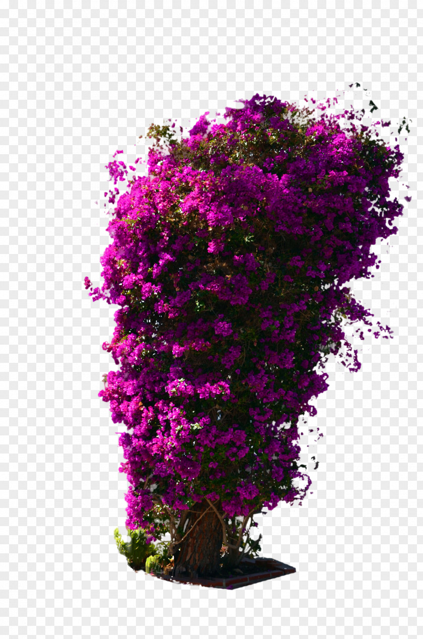 Tree Top Shrub Flower Violet DeviantArt PNG