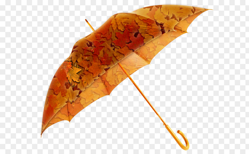 Umbrella Amazon.com Rain 雨具 Waterproofing PNG