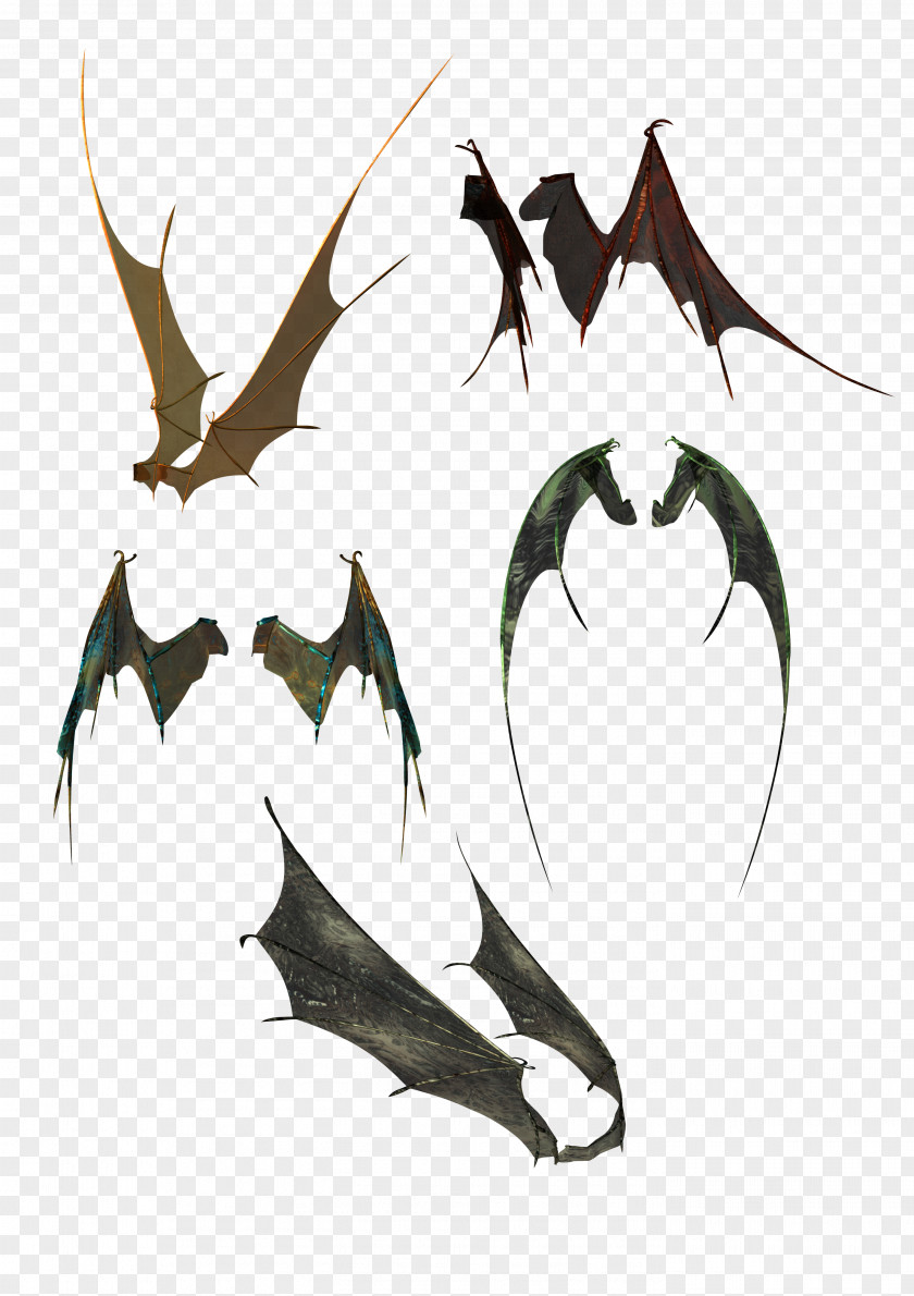 A Variety Of Positions Bat Wings Wing Clip Art PNG