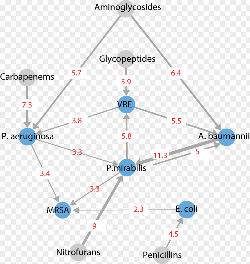 Bacterial Map Line Point Product Design Angle Body Jewellery PNG