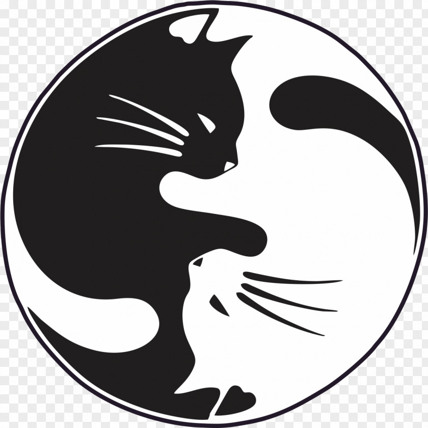 Cat T-shirt Kitten Decal Sticker PNG
