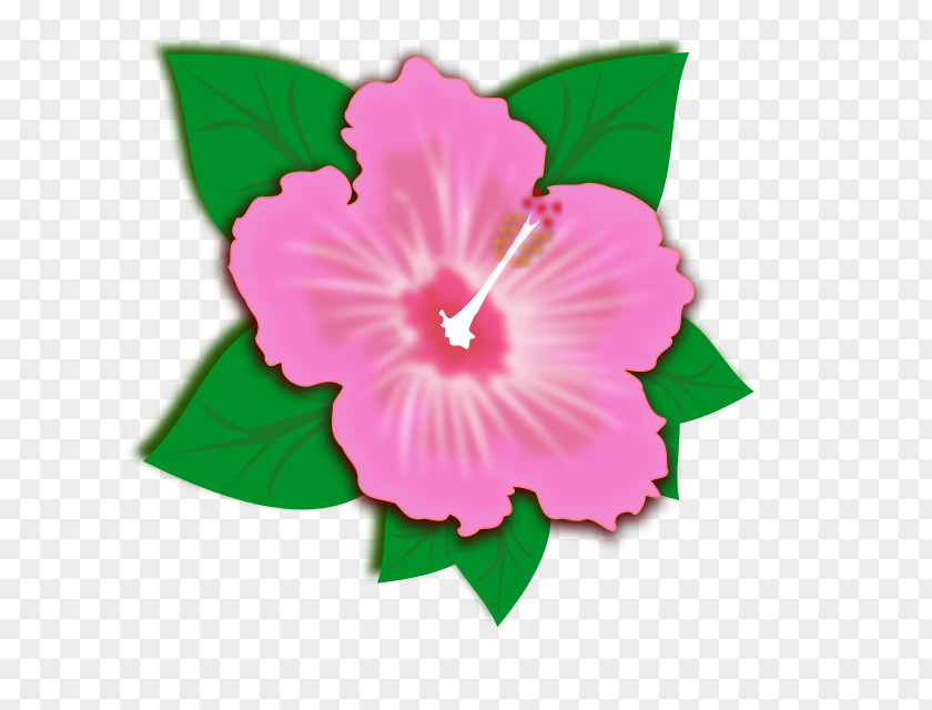 Flower Clip Art Vector Graphics Openclipart Shoeblackplant PNG