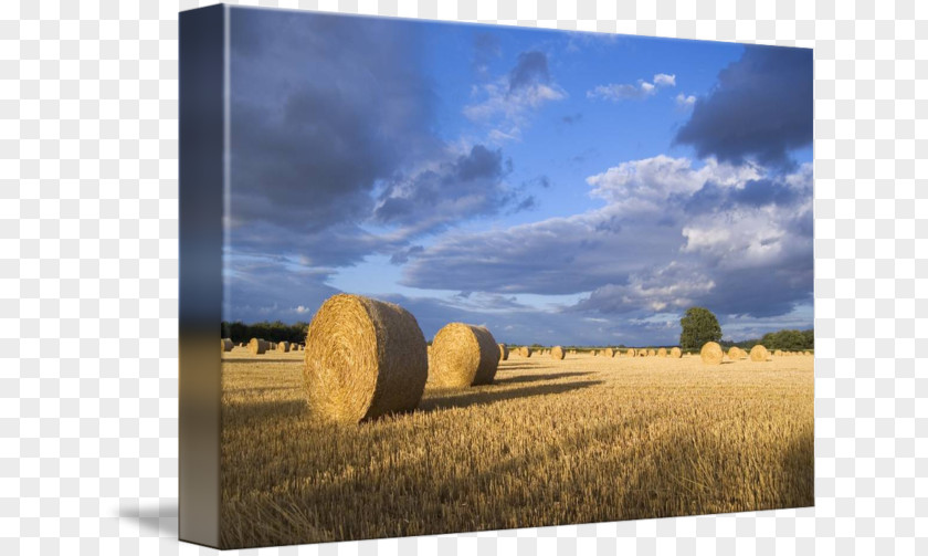 Hay Landscape Straw Farm Baler PNG