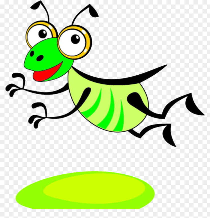 Insect Cartoon Illustration PNG