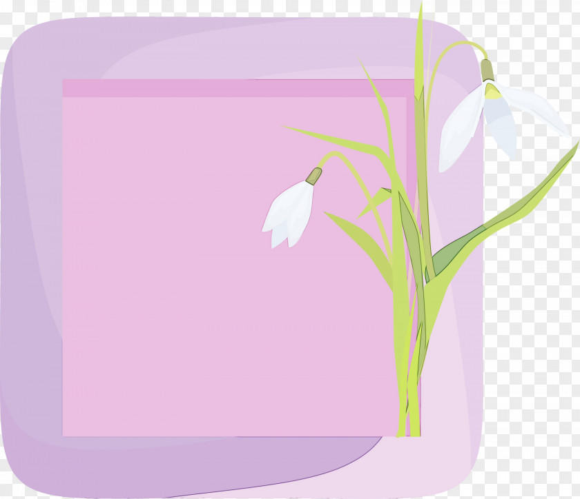 Lavender PNG