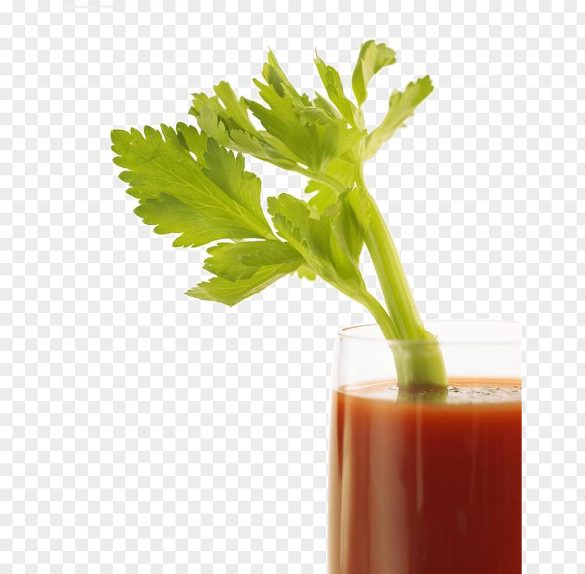 Celery Vegetable Juice Juicer Smoothie Tomato PNG