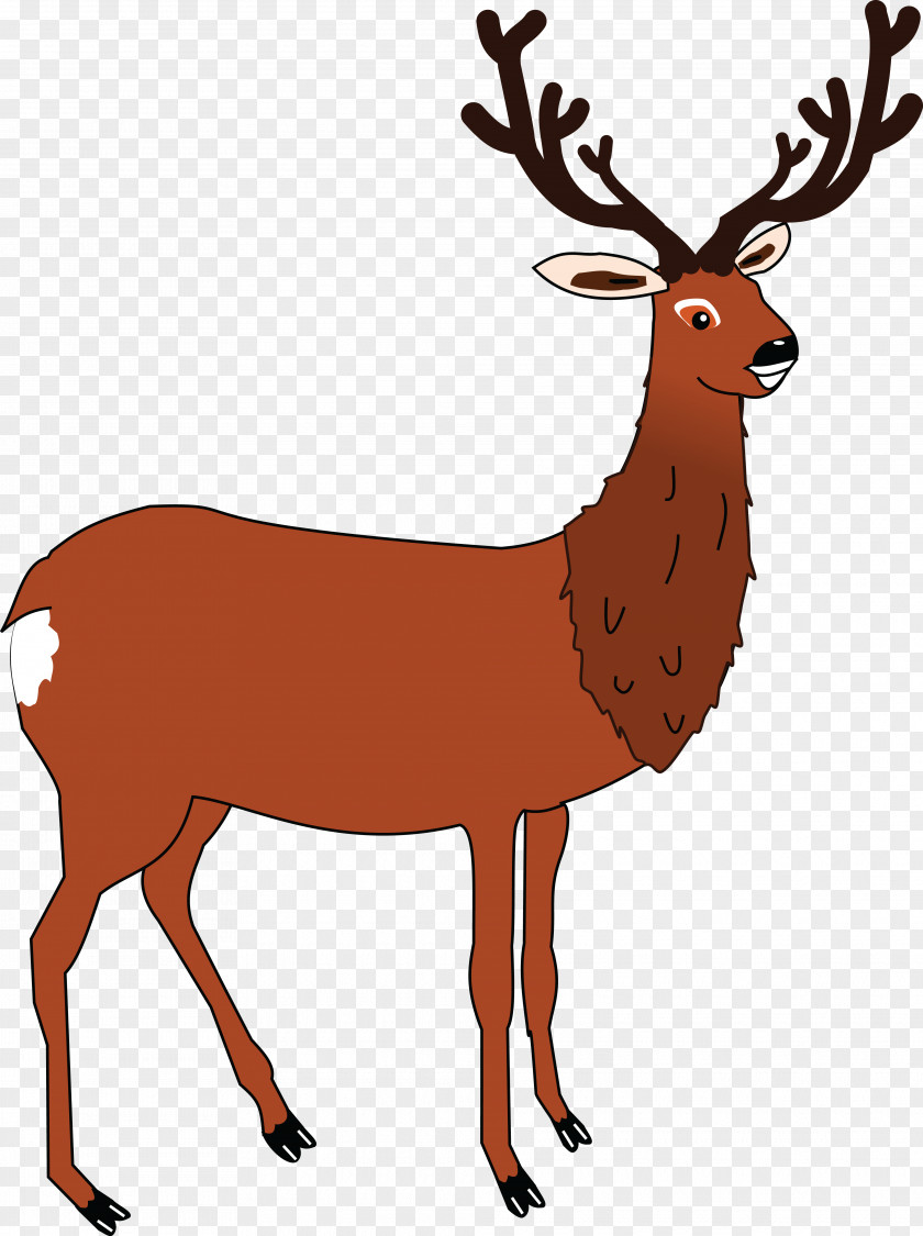 Deer Head Clip Art PNG