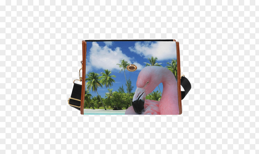 Flamingo Printing Desktop Wallpaper High-definition Television Display Resolution Beach Image PNG