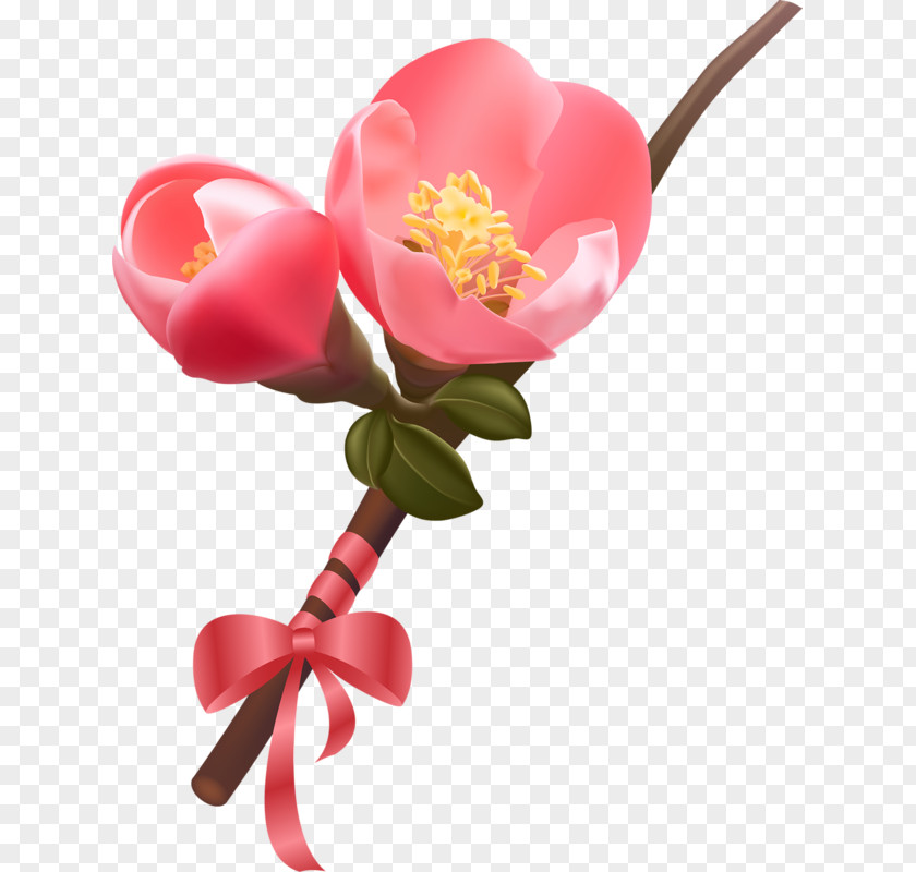 Flower Royalty-free PNG