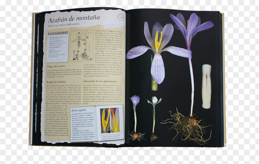 Herbario De Plantas Silvestres Herbarium Éditions Larousse Author PNG