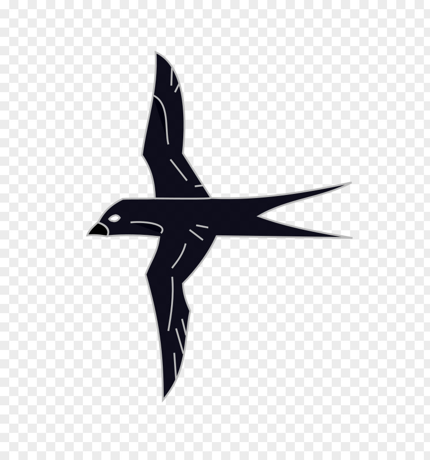 Hirondelle Du Pacifique Heraldry Swallow Coat Of Arms Bird Information PNG