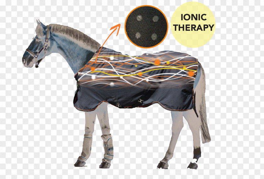 Horse Rambo Ionic Therapy Boot Fly Buster With Vamoose Rug Stable 200G PNG