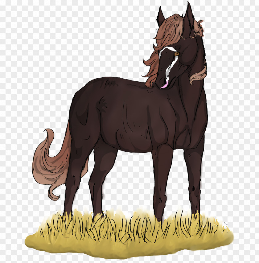 Liver Chestnut Horse Mane Mustang Foal Mare Stallion PNG