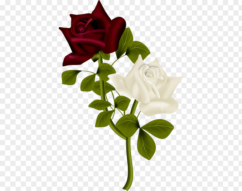 Branch Bouquet Love Rose Flower PNG