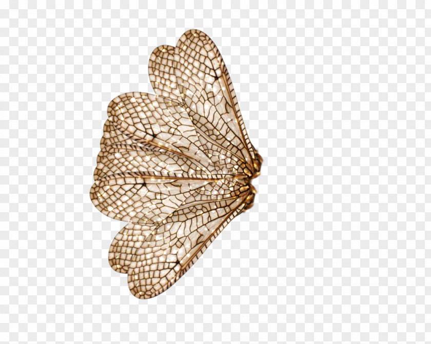 Butterfly Bat Insect Wing Bee PNG