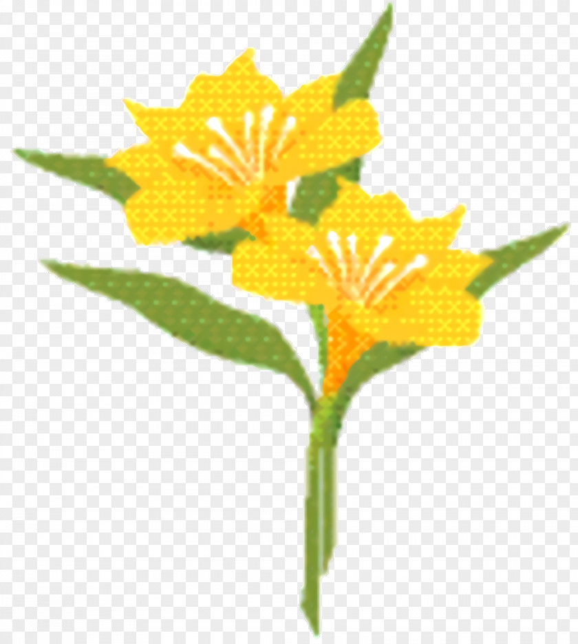 Cut Flowers Pedicel Background PNG