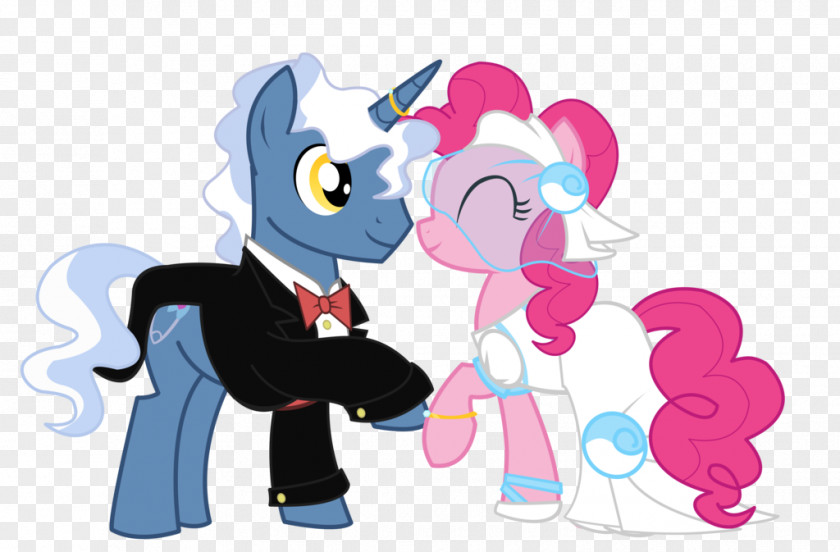 Marry Vector Pinkie Pie Twilight Sparkle Fluttershy Pony Rainbow Dash PNG
