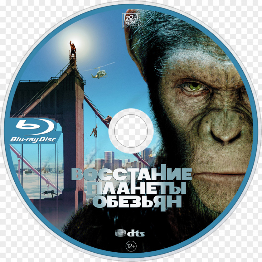 Planet Of The Apes Caesar Film Hollywood PNG