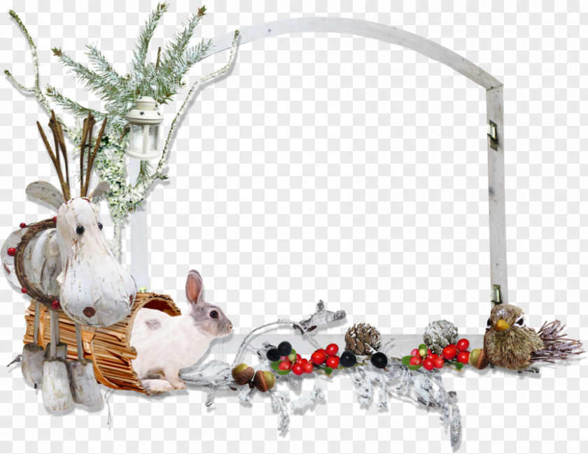 Turnip Holiday Ingredient Blog Rabbit PNG