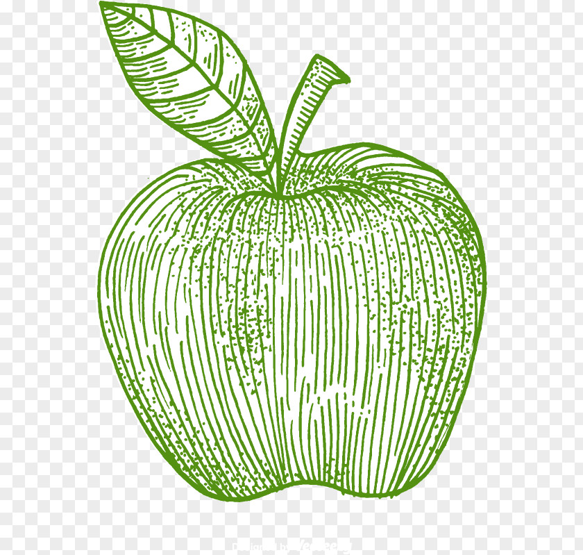 Vector Apple Green Line IPhone 7 PNG