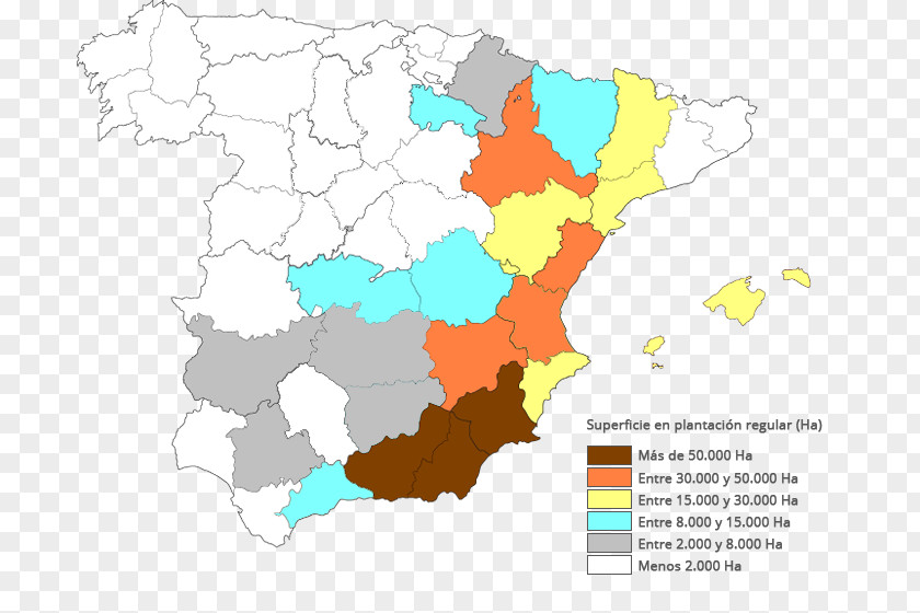 Almond Map Production El Almendro Nougat PNG