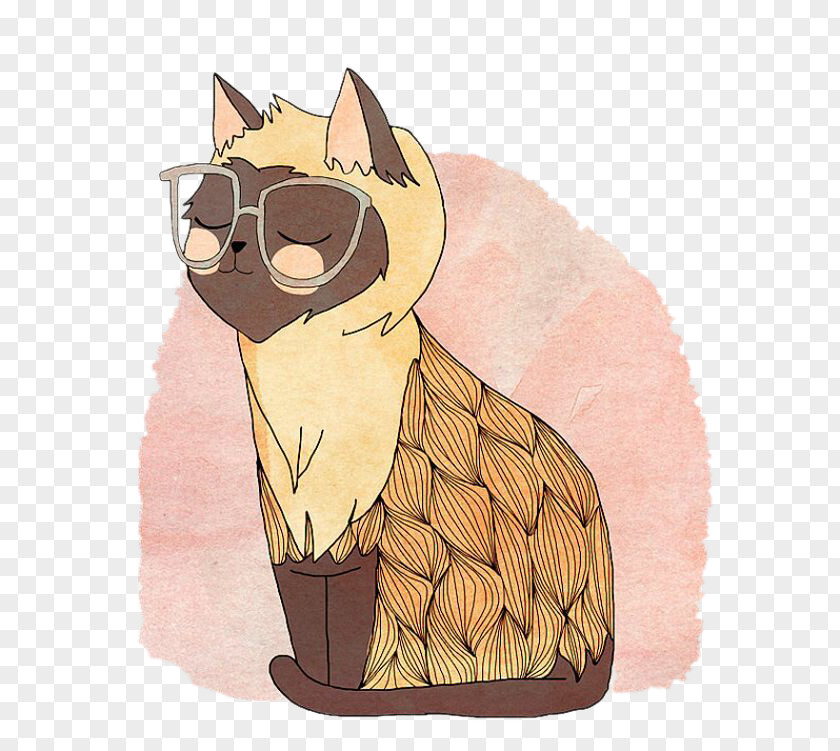 Bespectacled Cat Drawing Art Illustration PNG