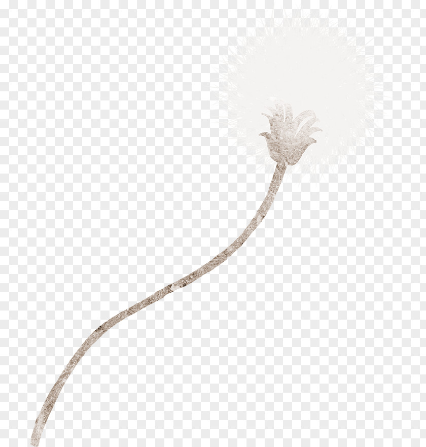 Dandelion Decorative Material Cartoon Flower PNG