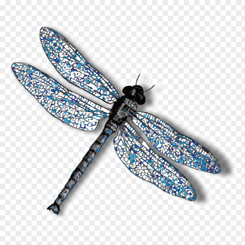 Dragonfly Insect Clip Art PNG