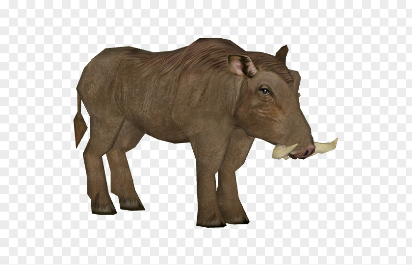 Dragons Tongue Zoo Tycoon Common Warthog 2 Desert Indian Elephant Pig PNG