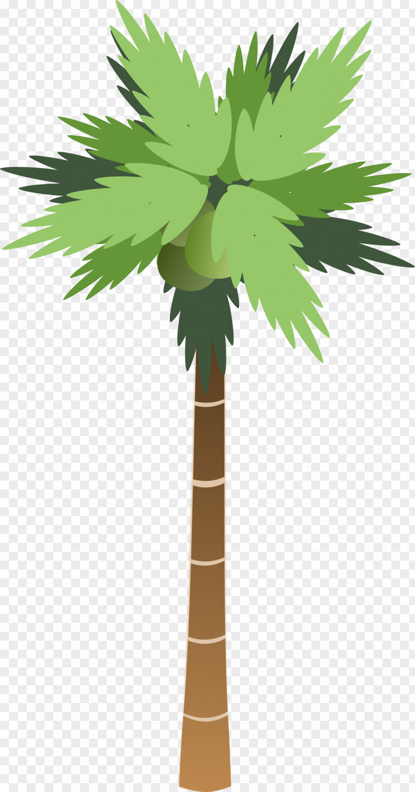 Images Of Cartoon Palm Trees Arecaceae Coconut Tree Clip Art PNG