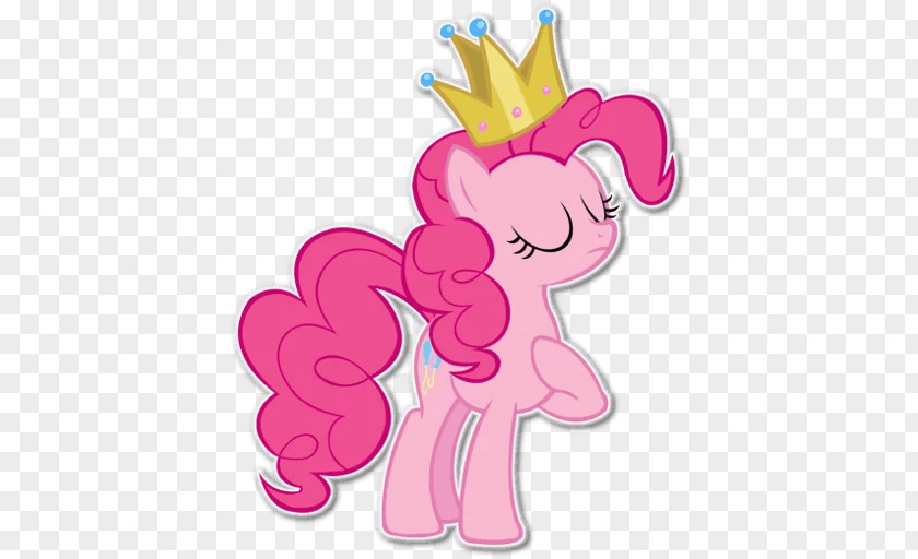 Pinkie Pie Rarity Twilight Sparkle Rainbow Dash Derpy Hooves PNG