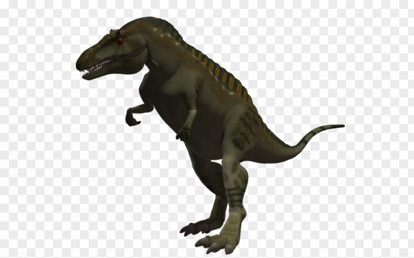 Dinosaur Tyrannosaurus Acrocanthosaurus Spinosaurus Aucasaurus PNG