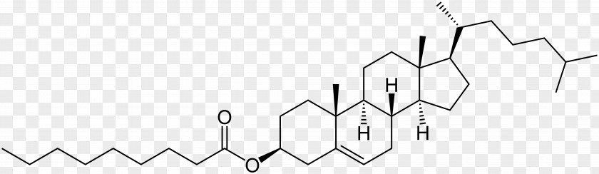 Ester Pharmaceutical Drug Chemical Substance Steroidal Alkaloid 中药学 PNG