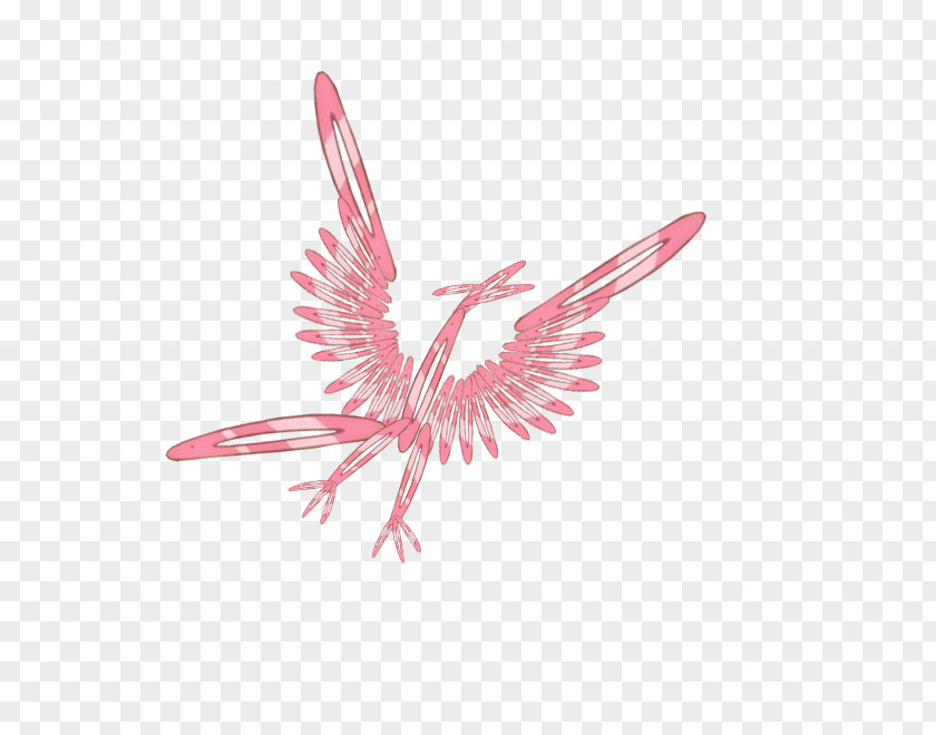 Feather Pink M Beak Line PNG