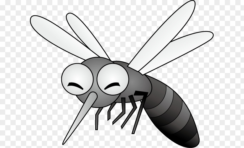 Mosquito Insect Fly Illustration Pest PNG