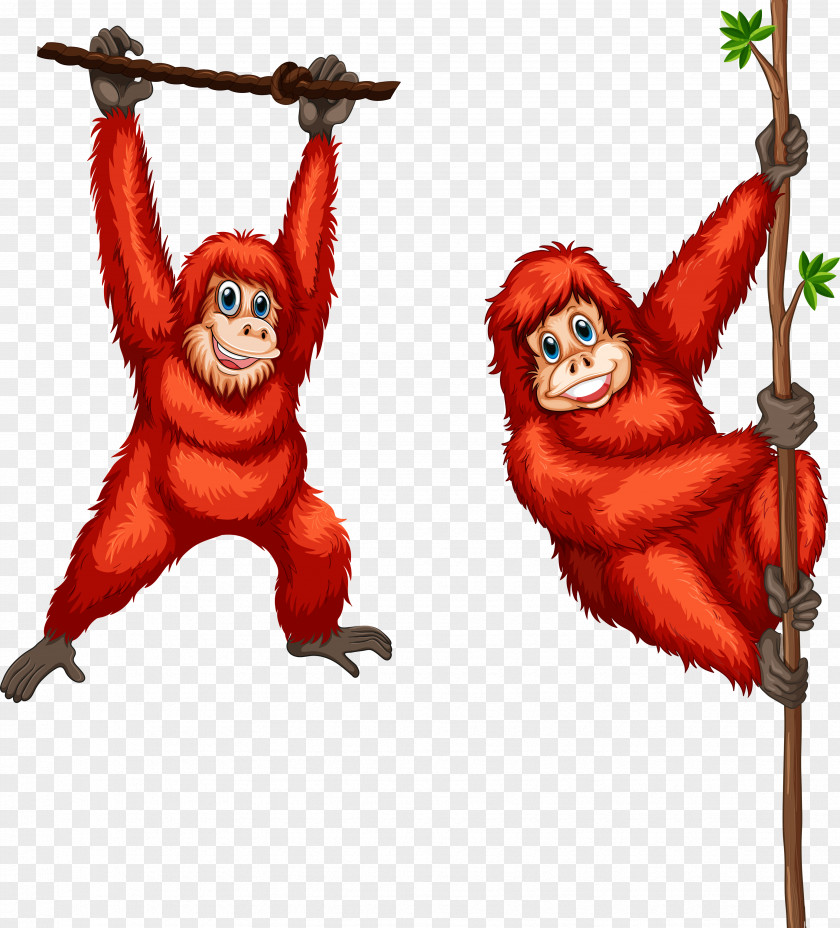 Orangutans Orangutan Stock Photography Illustration PNG