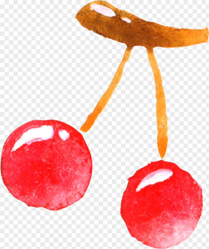 Hand-painted Cherry Fruit Auglis PNG