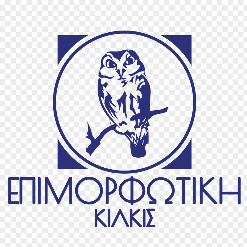 Metalliko Kilkis Educational LTD Lifelong Learning Vocational Education Capacity Building PNG